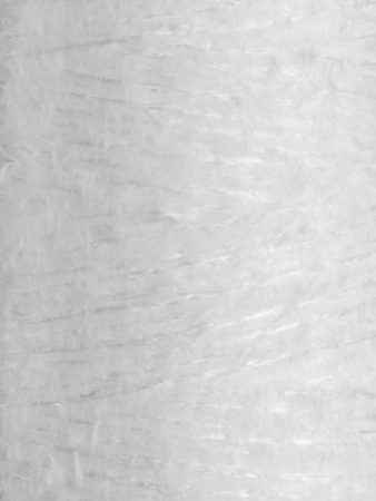 28051_5.jpg