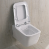 унитаз_подвесной_geberit_icon_square_вертикальный_смыв__закрытая_форма__rimfree__201950000__2.jpg