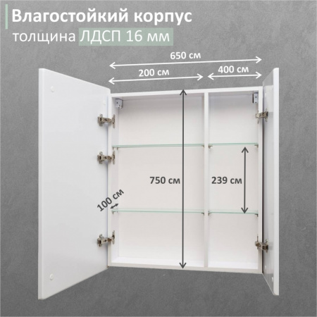 зеркальный_шкаф_mixline__минио__700_800__шв__2_створки__левый_сенсорный_выкл__светодиодная_подсветка_6.jpg