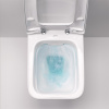унитаз_подвесной_geberit_icon_square_вертикальный_смыв__закрытая_форма__rimfree__201950000__3.jpg
