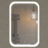 зеркало_comforty_пион_60_светодиодная_подсветка__бесконтактный_сенсор_600_800_1.jpg