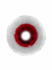 28307_5.jpg