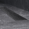 w01sc_p11_060_01bm_4.jpg