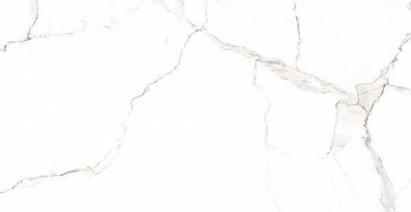 плитка_керамогранитная_azario_statuario_classic_60х120_matt__f2020821120m__4.jpg