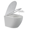 унитаз_подвесной_berges_okus_rimless_49_см__сиденье_дюропласт__микролифт__быстросьем_2.jpg