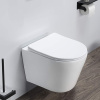 comforty__унитаз_подвесной_105_безободковый__сиденье_дюропласт_softclose_тонкое__быстросъёмное_1.jpg
