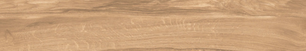 плитка_керамогранитная_azario_ashwood_20х120_matt__p231123221wm__4.jpg