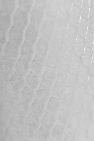 26072_5.jpg