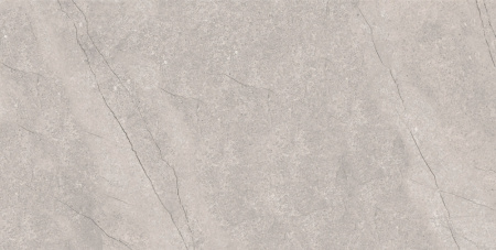 плитка_керамогранитная_azario_fossil_grey_60х120_matt__e4040821120m__2.jpg