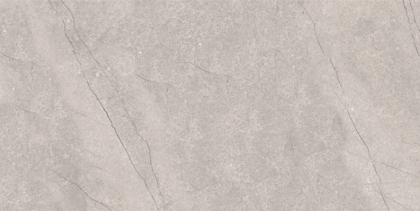 плитка_керамогранитная_azario_fossil_grey_60х120_matt__e4040821120m__2.jpg