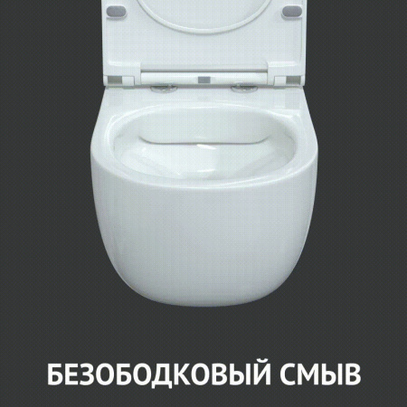 унитаз_berges_подвесной_ego_real_rimless_49см__сиденье_дюропласт_toma_slim_so__микролифт__быстросъем_14.jpg