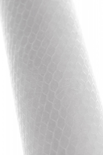 26007_5.jpg