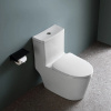 comforty__моноблок_керамический_cf3c6327p__горизонтальный_выпуск__сиденье_дюропласт_с_микролифтом_тонкое__2_реж__арматура__белый_глянец_3.jpg